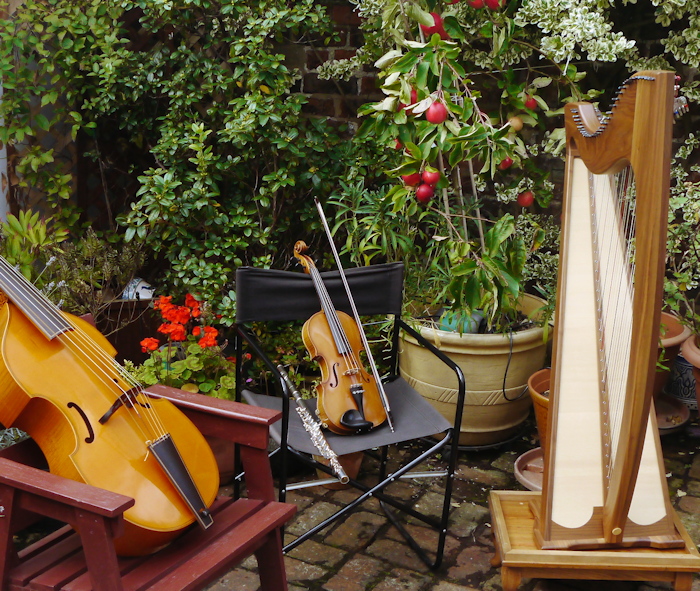 our instruments in a sunny garden